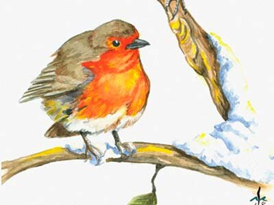 Ilustradores